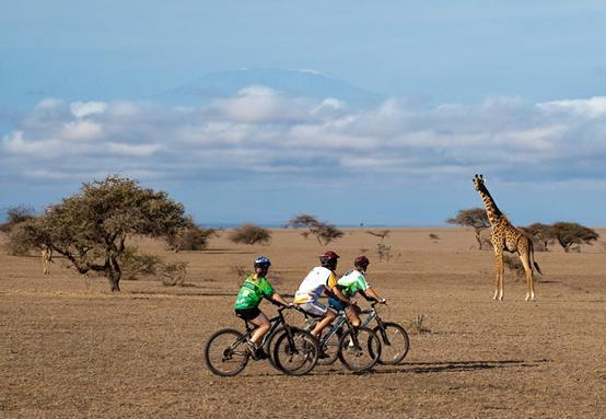mountain bikers