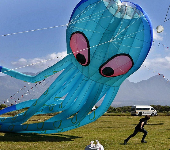 kite