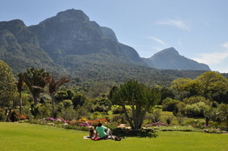 kirstenbosch