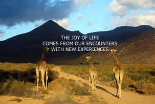 experiences
